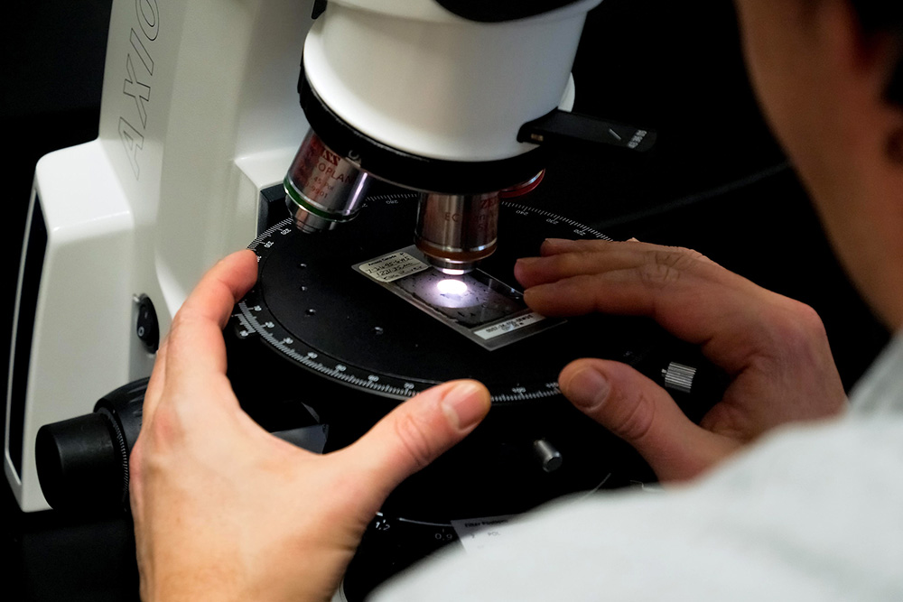 Researcher looking at a sample under the microscope