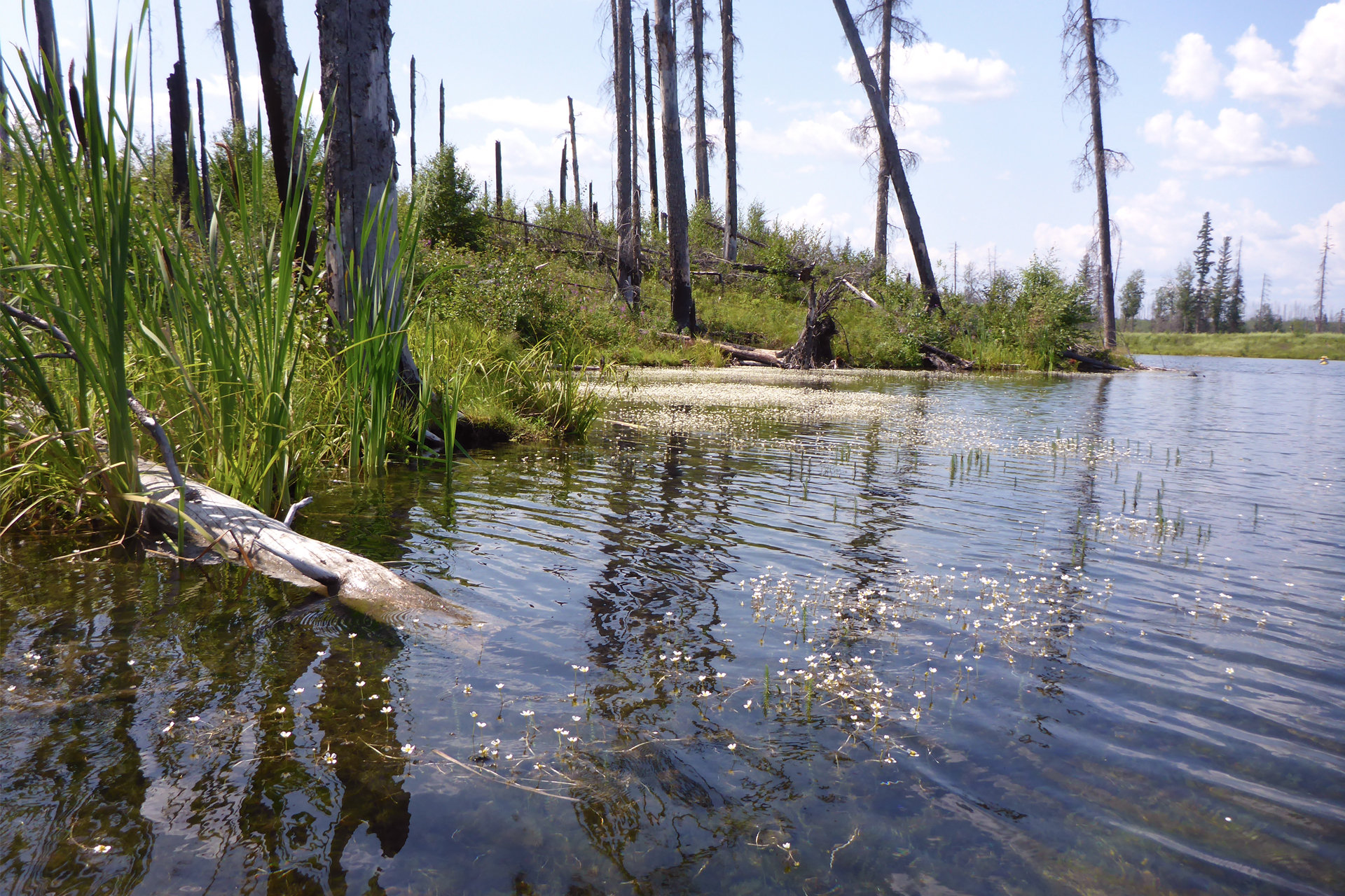 ManMade Lakes Mean Real Benefits Alberta Energy Regulator