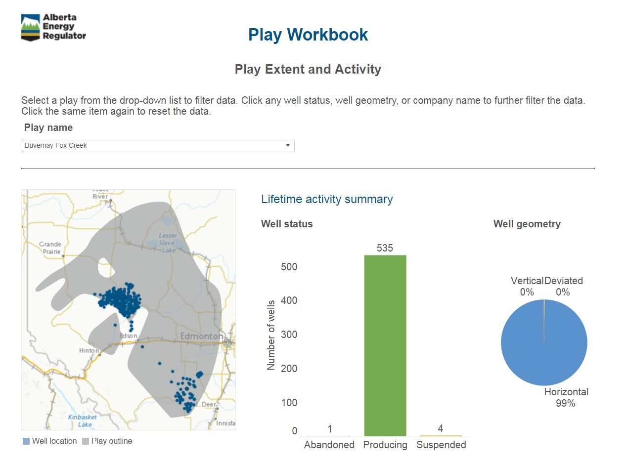 A snapshot of the Play Extent and Activity tab of the Play Workbook