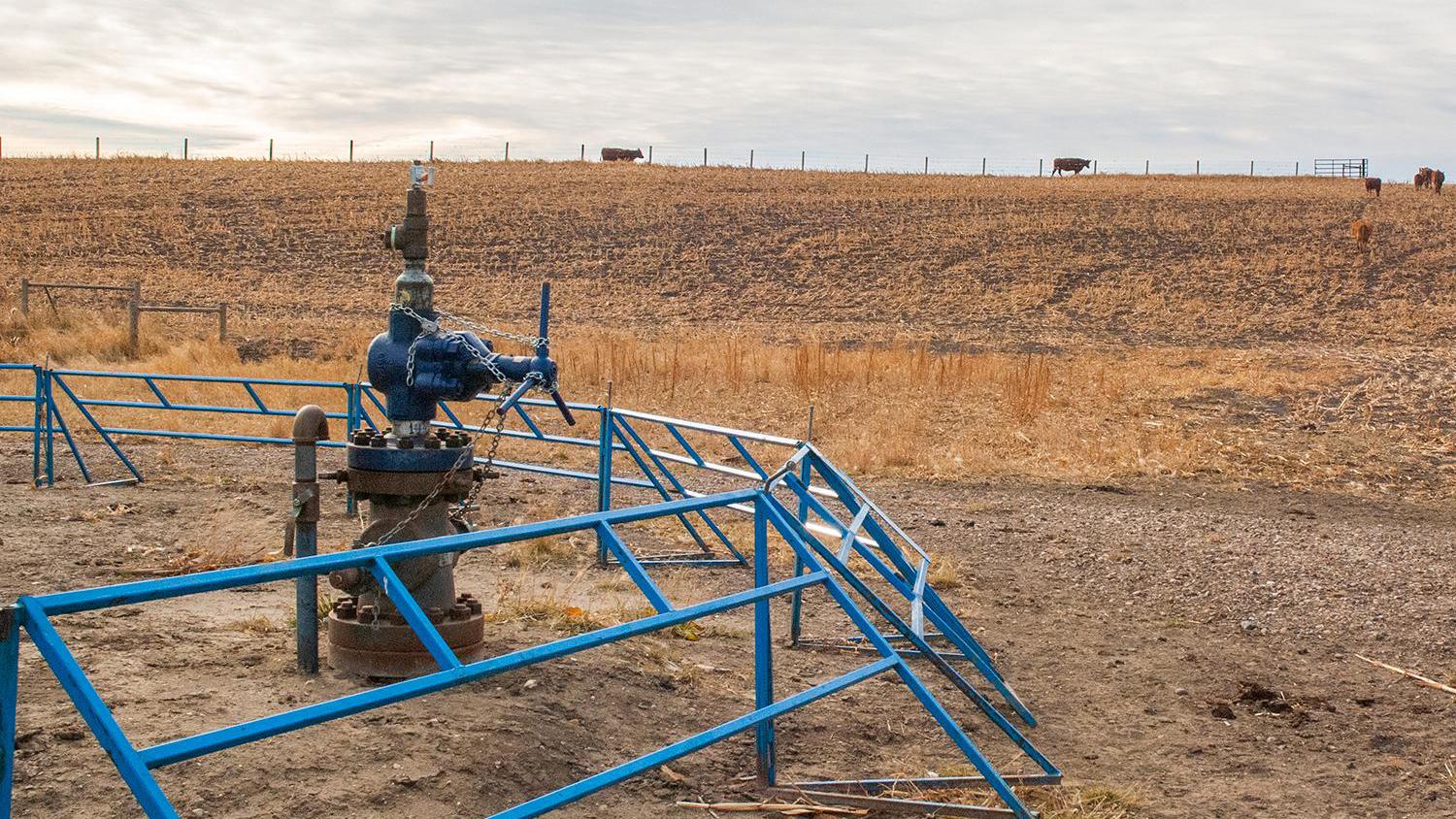 Liability Management Report Image