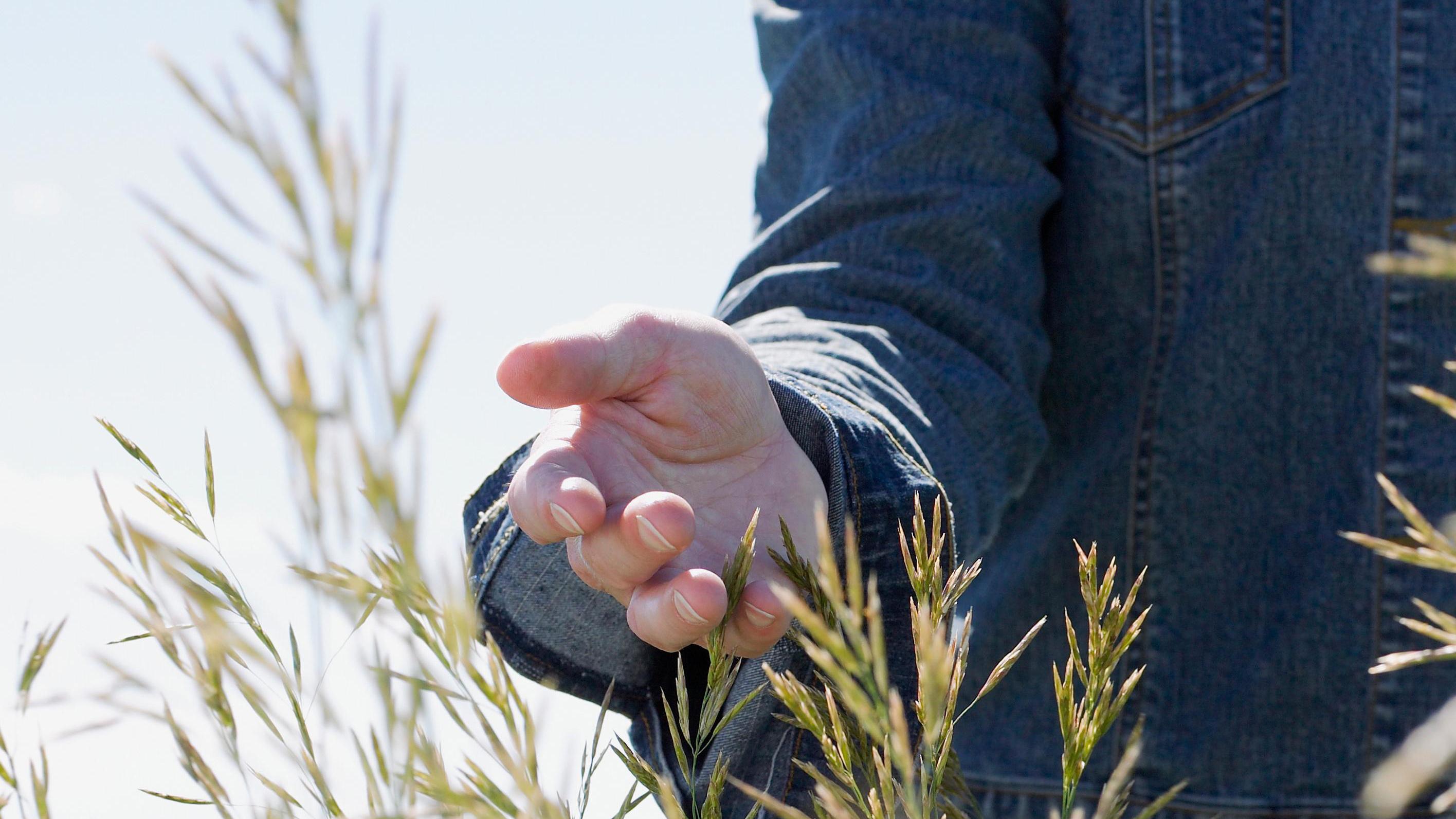 person in a field