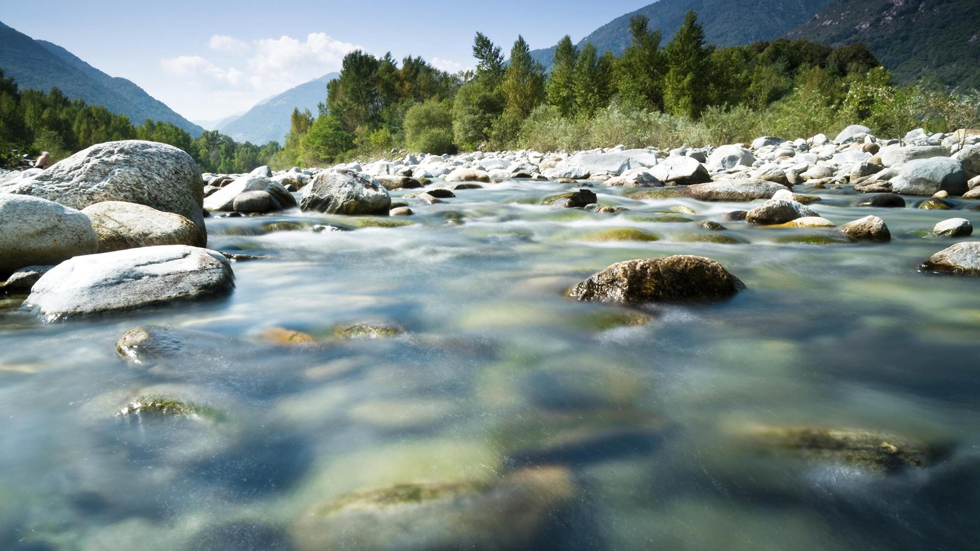 river with rocks and trees