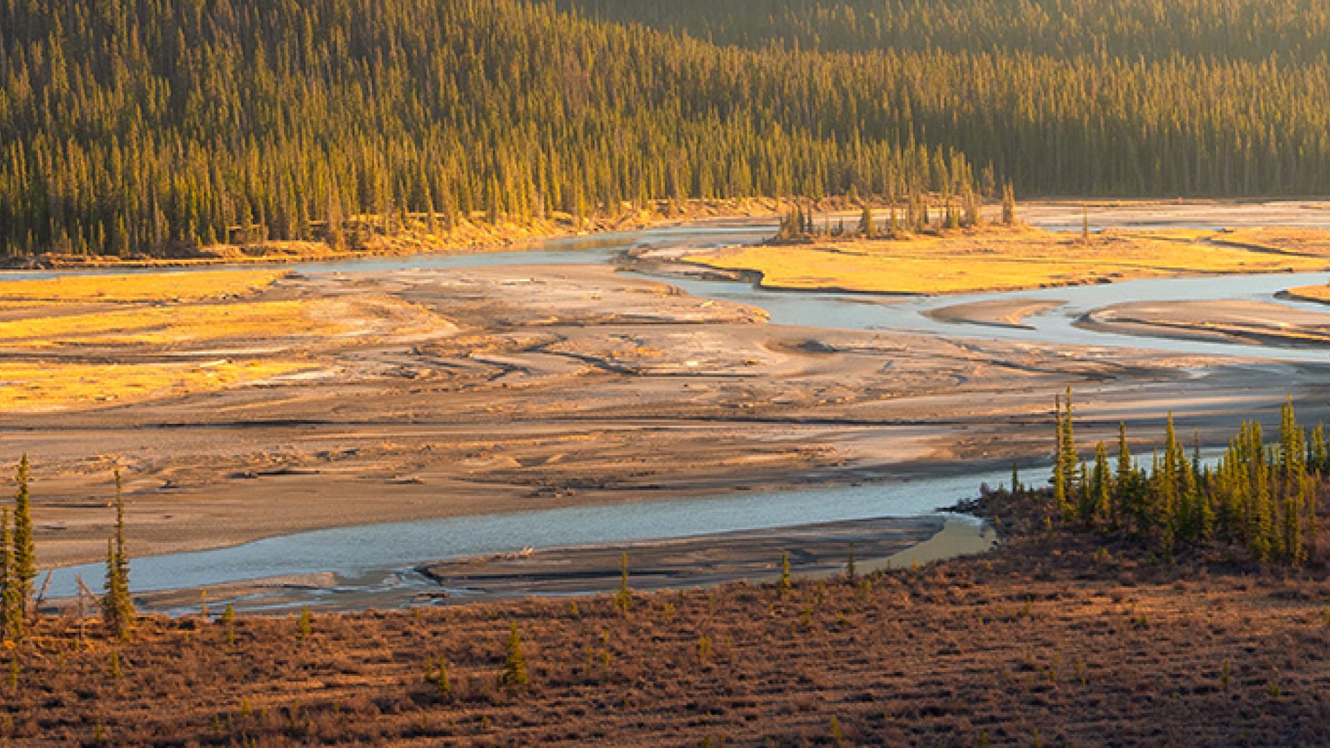 Alberta Energy Outlook