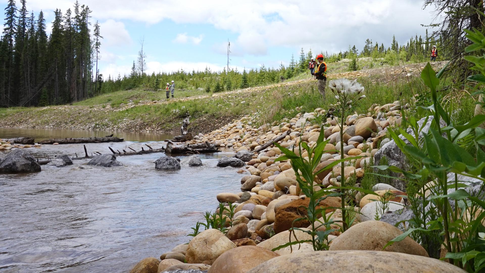 Noncompliance & Enforcement