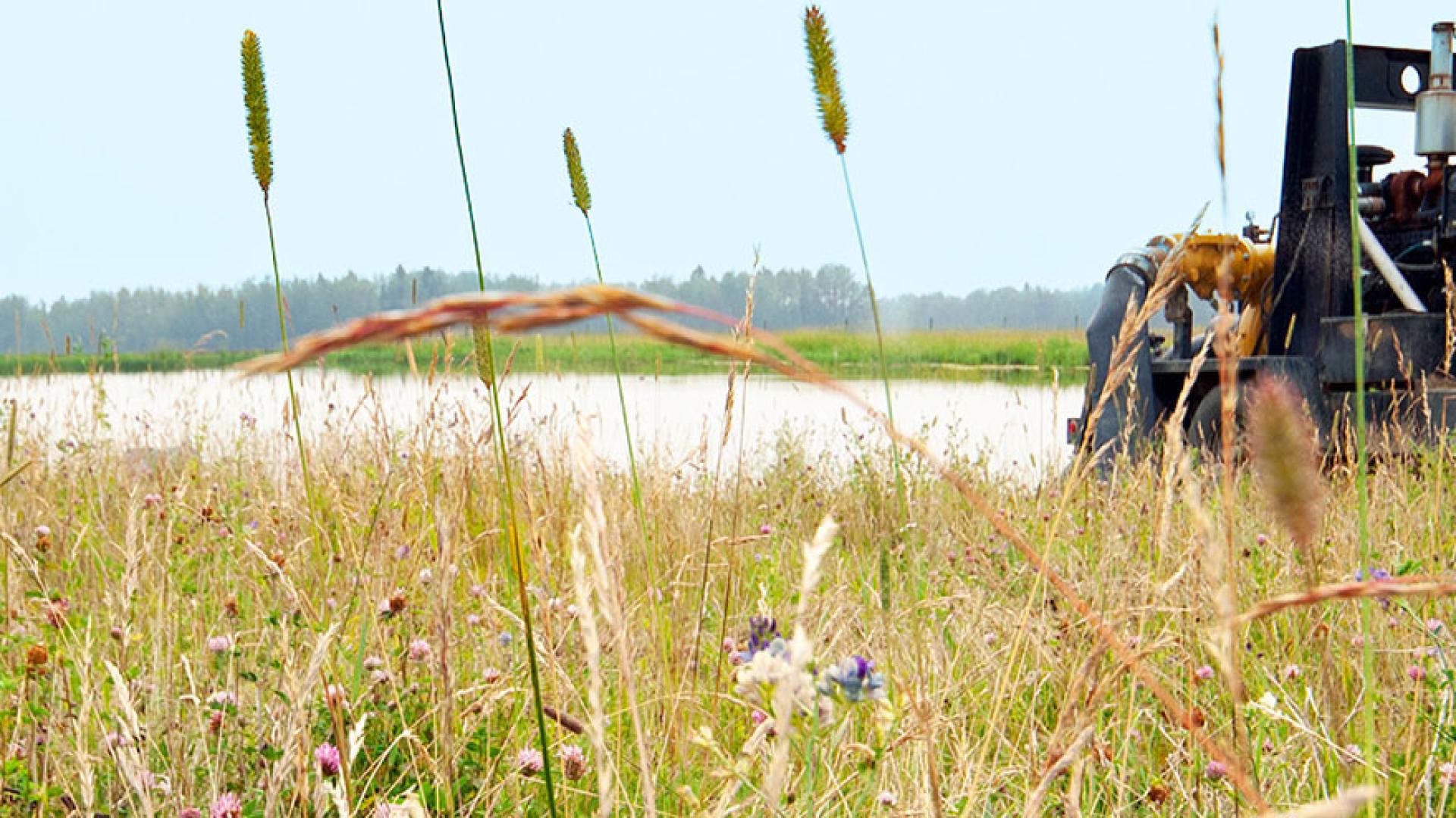 water use performance report