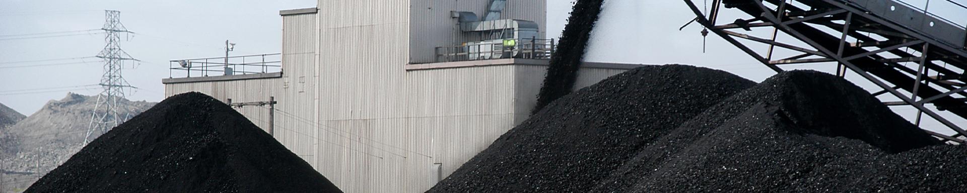 Coal