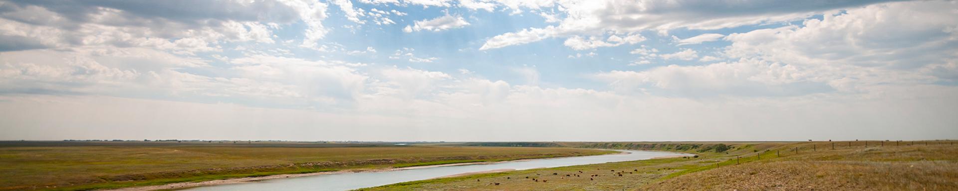 Watercourse Crossing Management