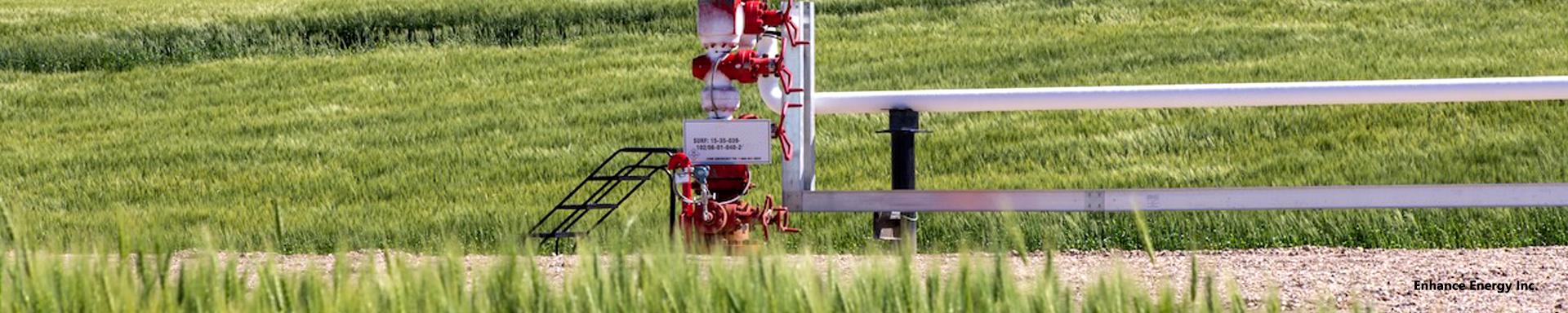 Pilots and Innovation