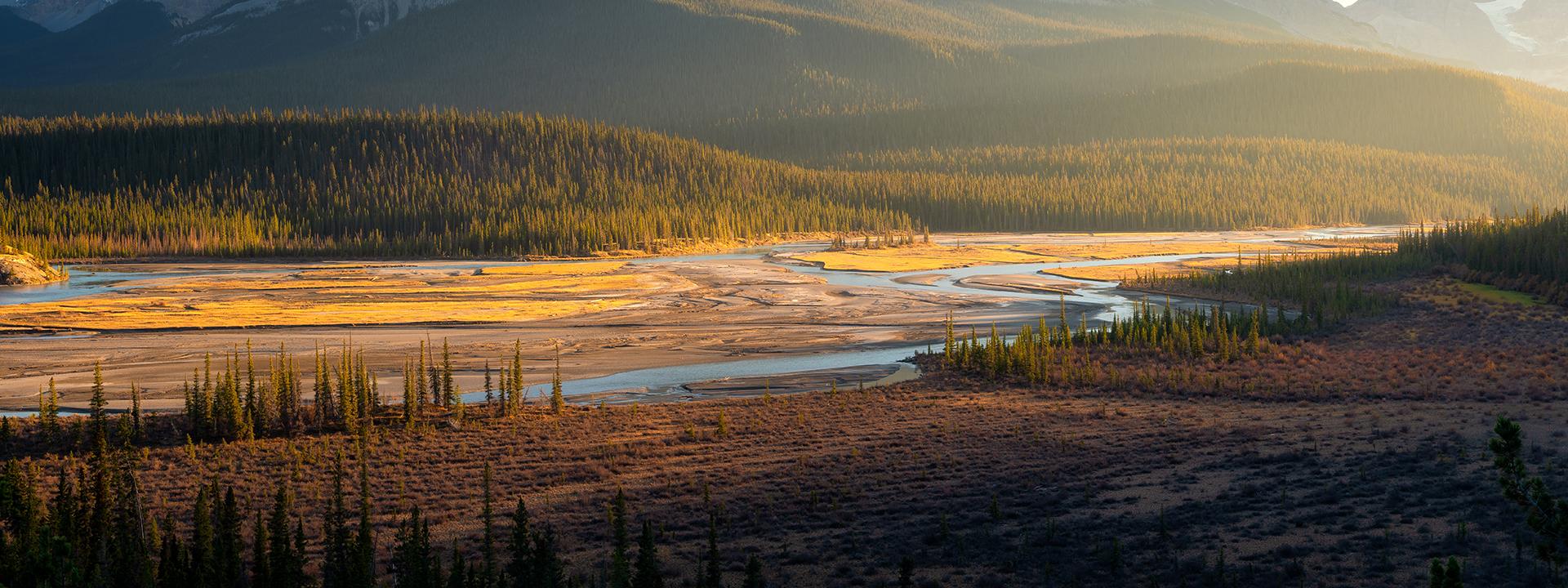 Alberta Energy Outlook 2025