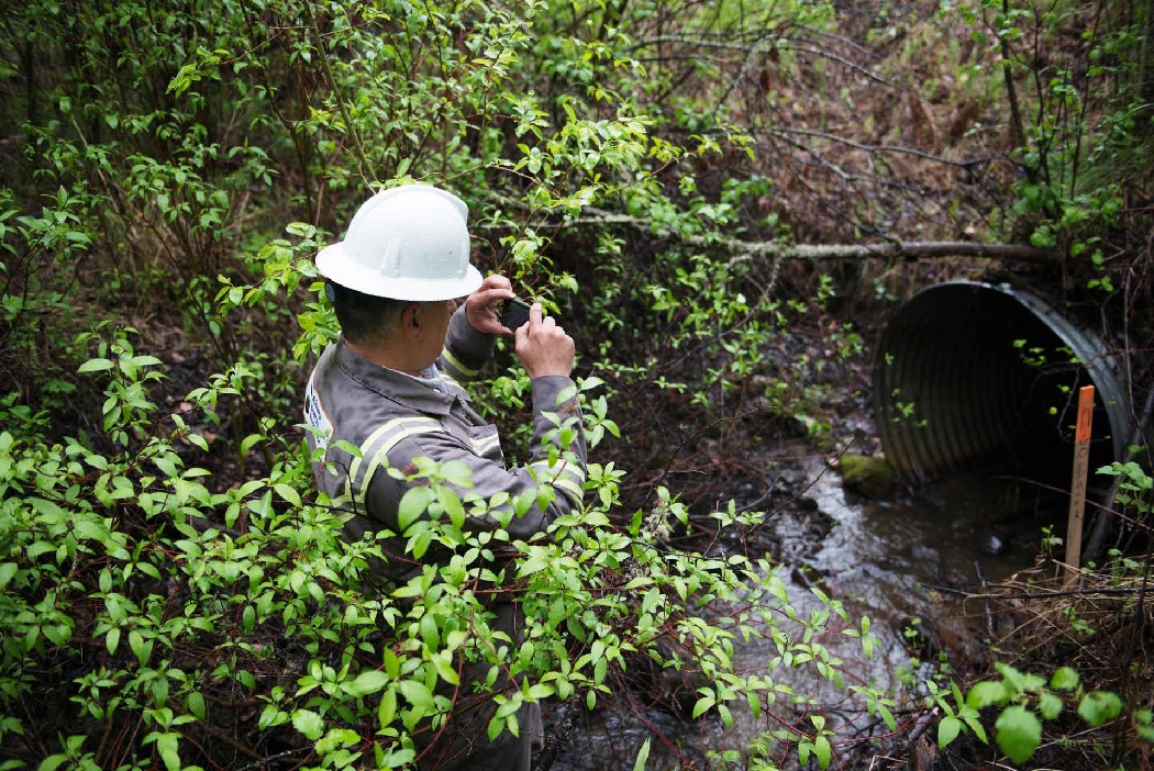 Inspector takes photo of the culvert