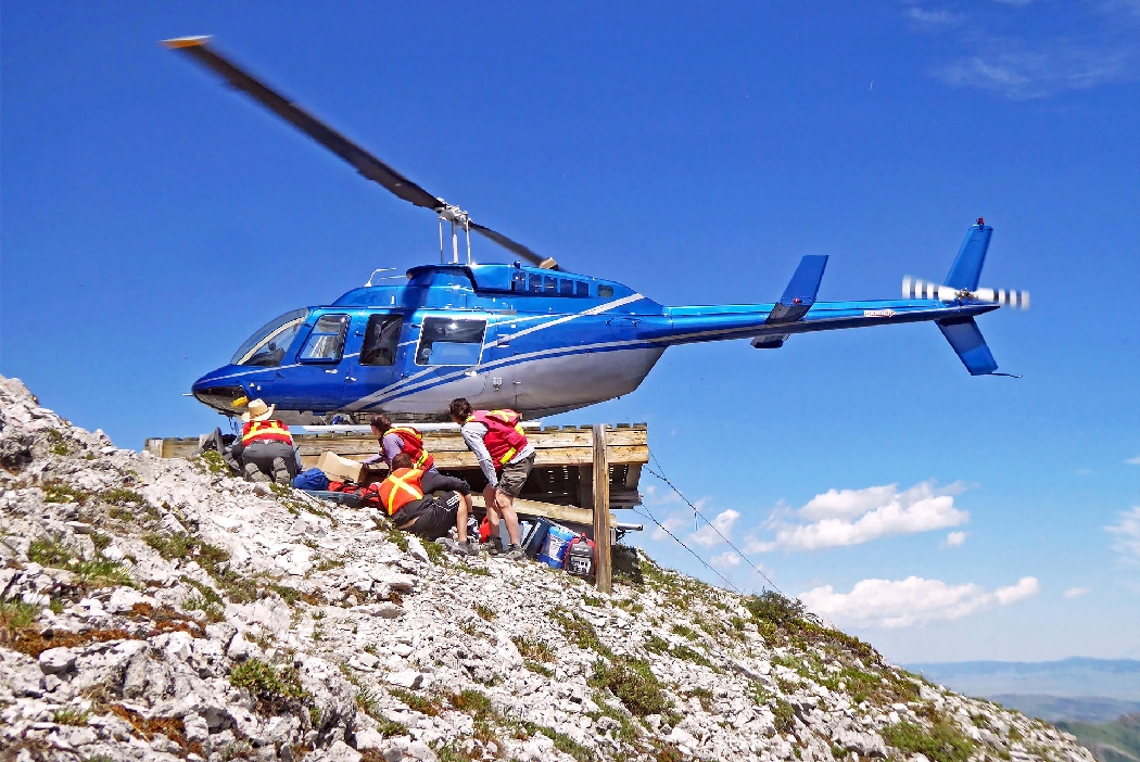 Helicopter