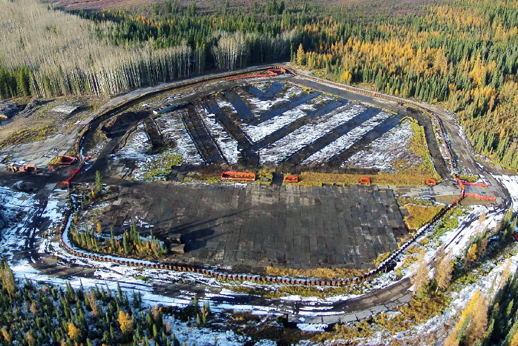 bioremediation