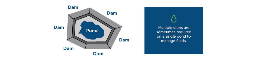 Multiple dams on a single pond