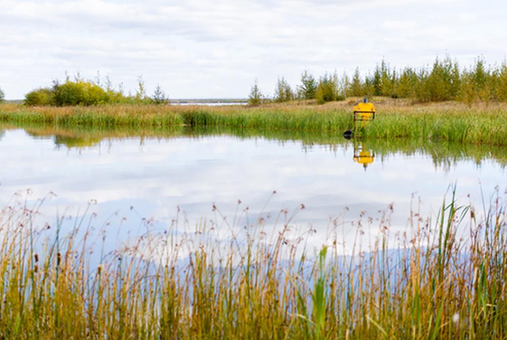 A lake